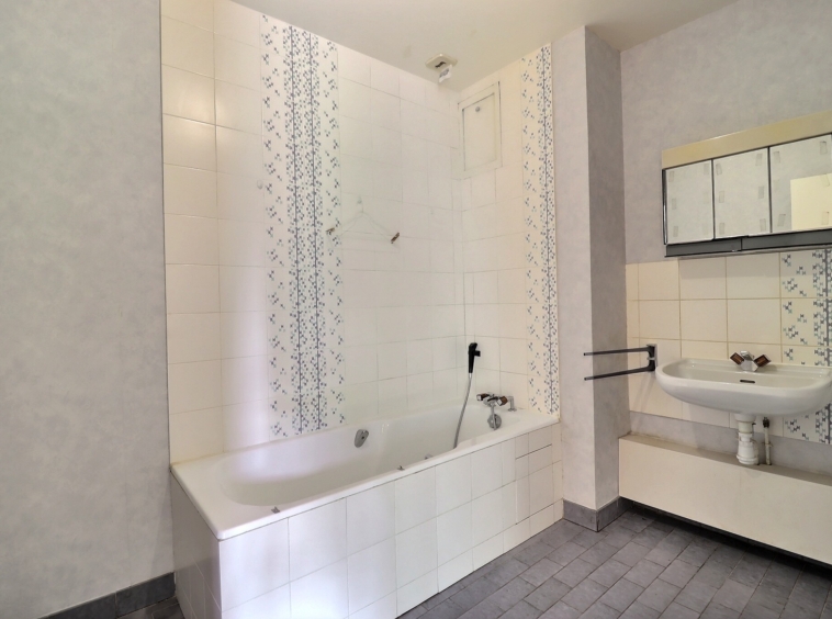appartement terrasse Issy-les-Moulineaux salle de bains