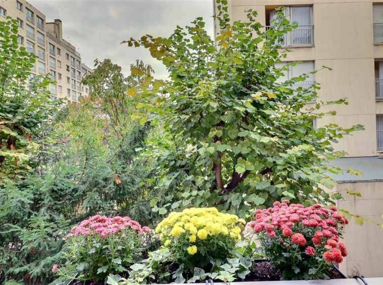 Vue extérieure sur cour, studio Notre Dame des Champs, Paris 6