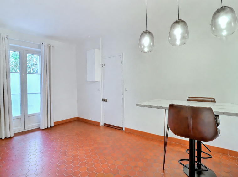 Séjour appartement 2 pièces Paris 15e Alleray sur cour