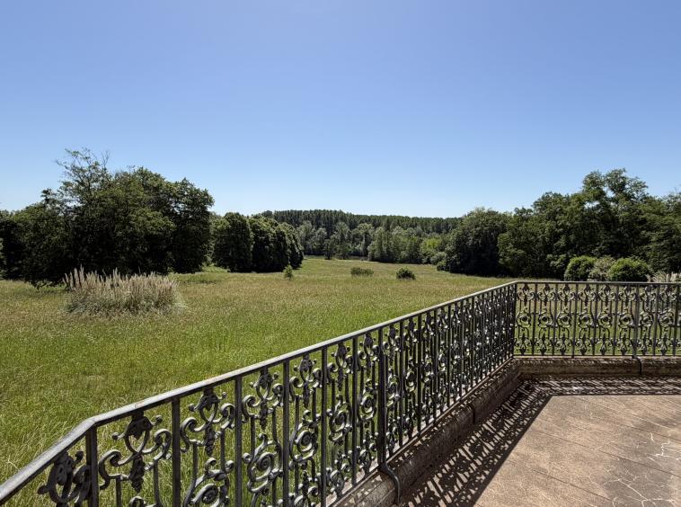 Vue depuis la terrasse sur le parc de la propriété